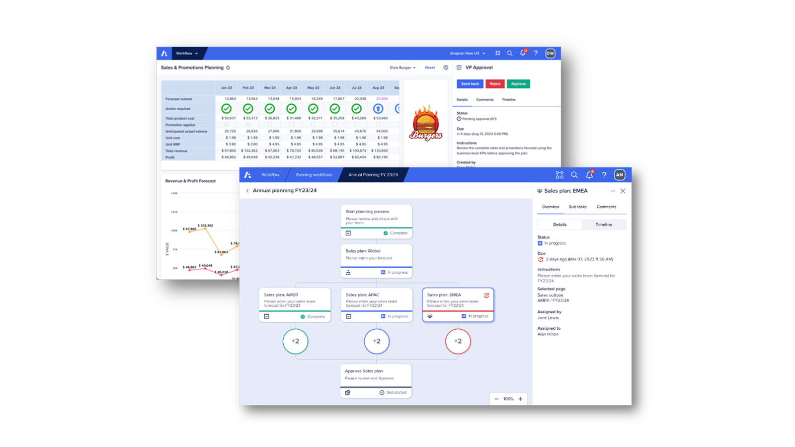 Anaplan Workflow screenshots