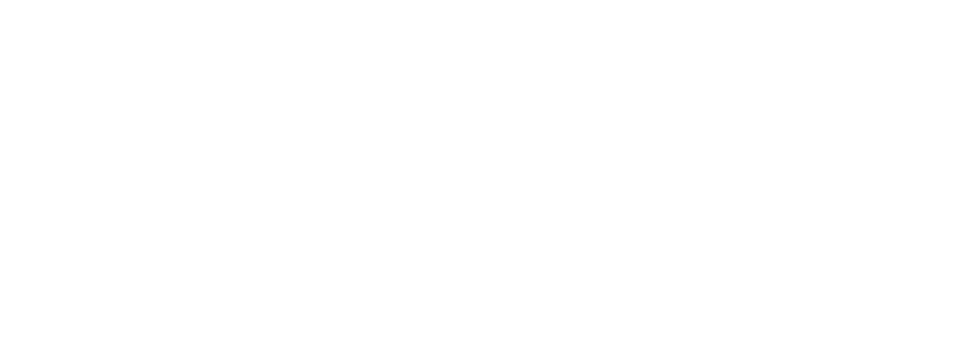 Pepkor Speciality Logo