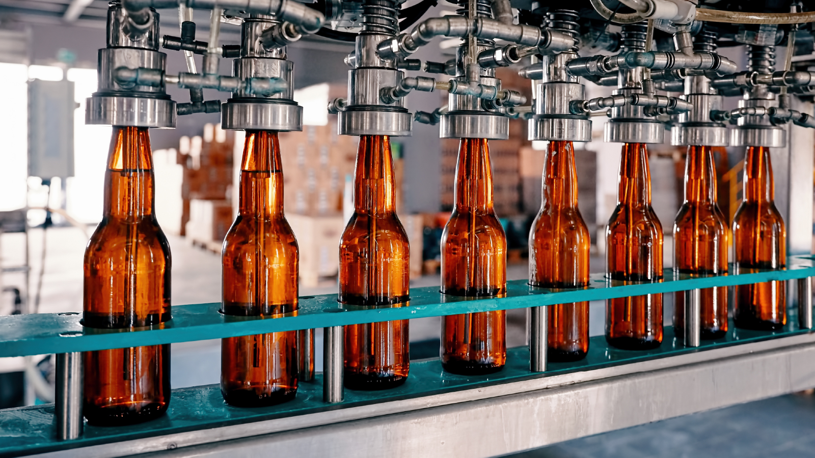 Bottles on brewery assembly line