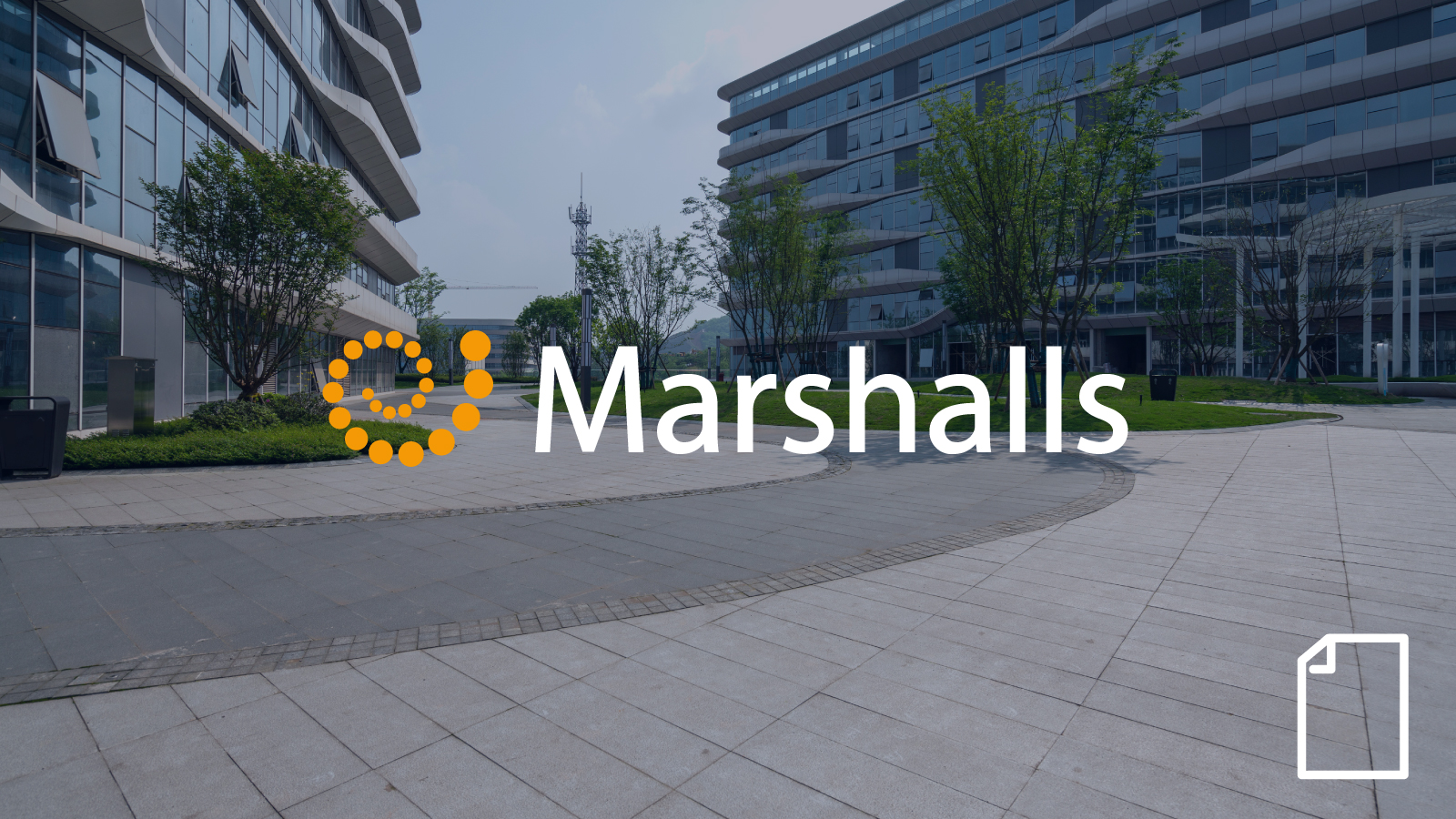 Marshalls complex hierarchies analyzed quickly for better decision-making with Anaplan