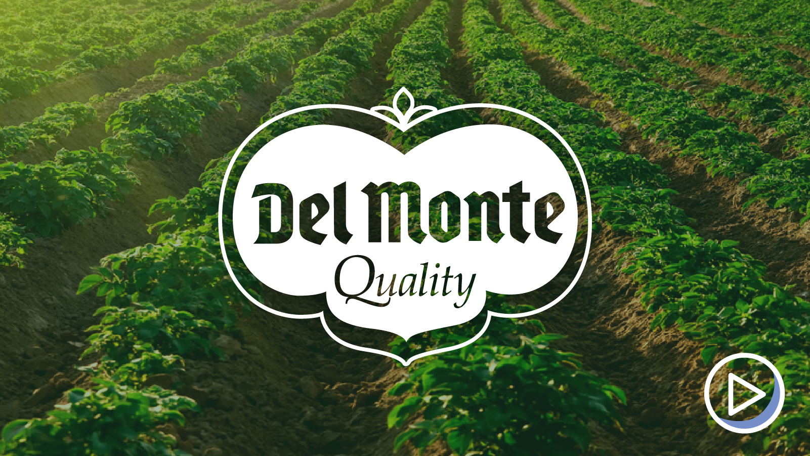 Fresh Del Monte Produce Inc. (NYSE:FDP) Holdings Lifted by Quadrature  Capital Ltd - Defense World
